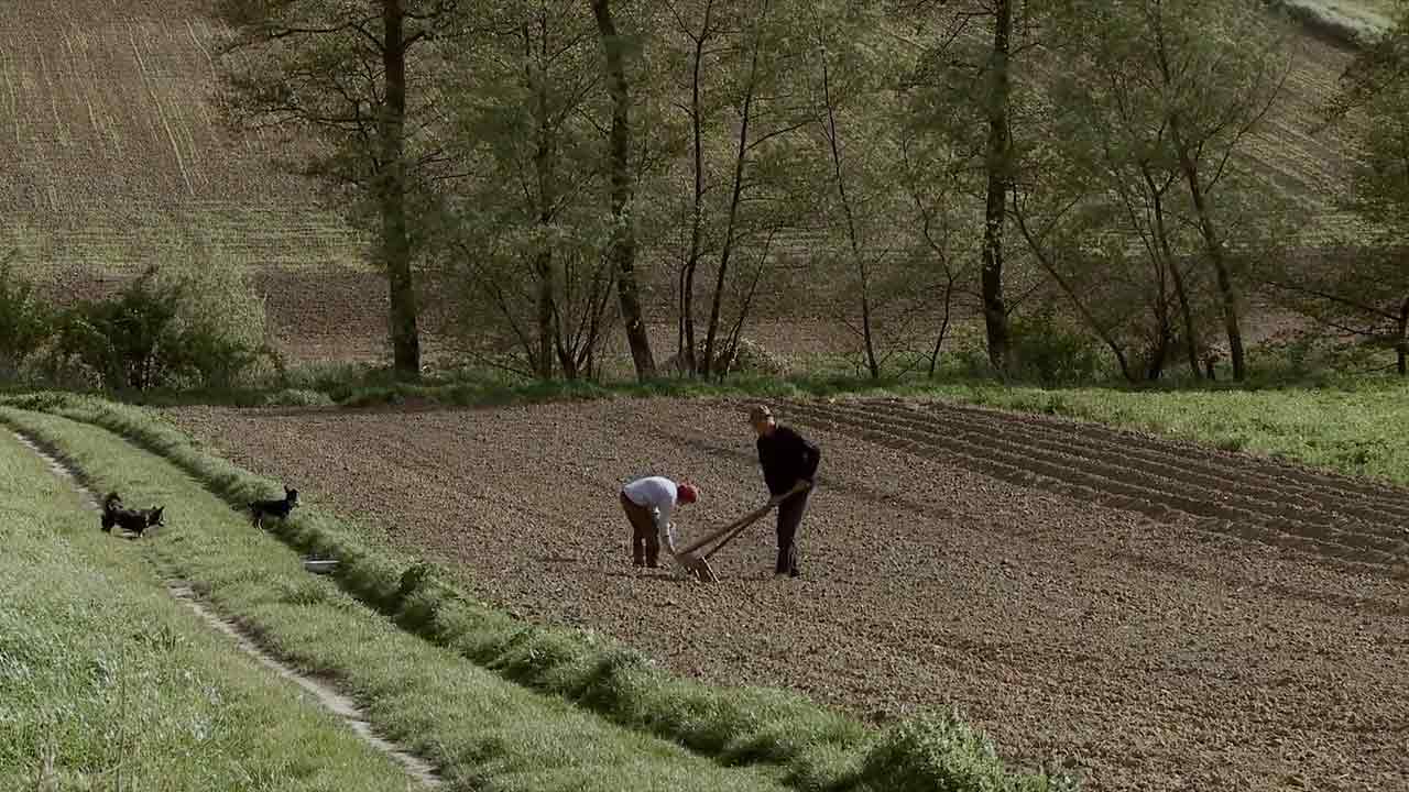 Cały świat Hani i Stasia